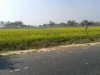 মার্কেট, রির্সোট / বাড়ি করার জন্য জায়গা বিক্রয় হবে।